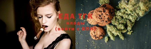 индика Армянск