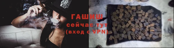 индика Армянск