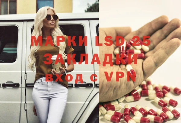 индика Армянск