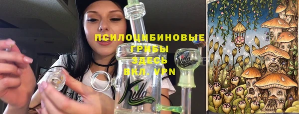 бошки Арсеньев