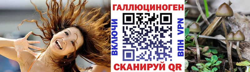 blacksprut онион Калязин Псилоцибиновые грибы Magic Shrooms наркотики